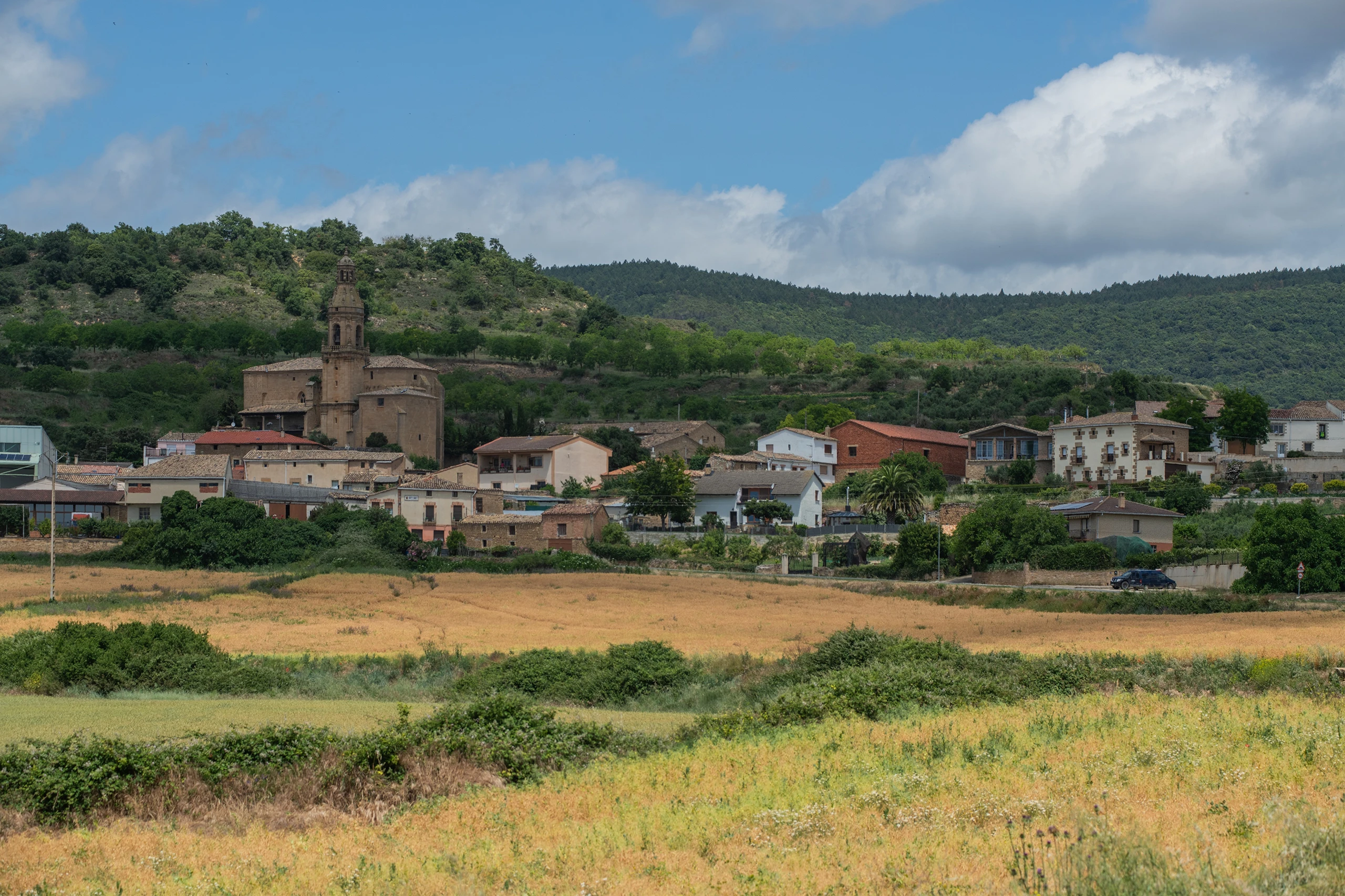 Arellano