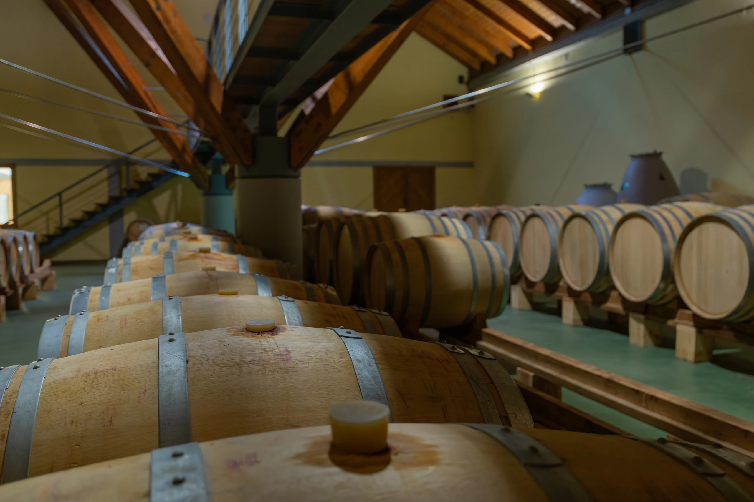 Foto 5 - Bodega Ar&iacute;nzano