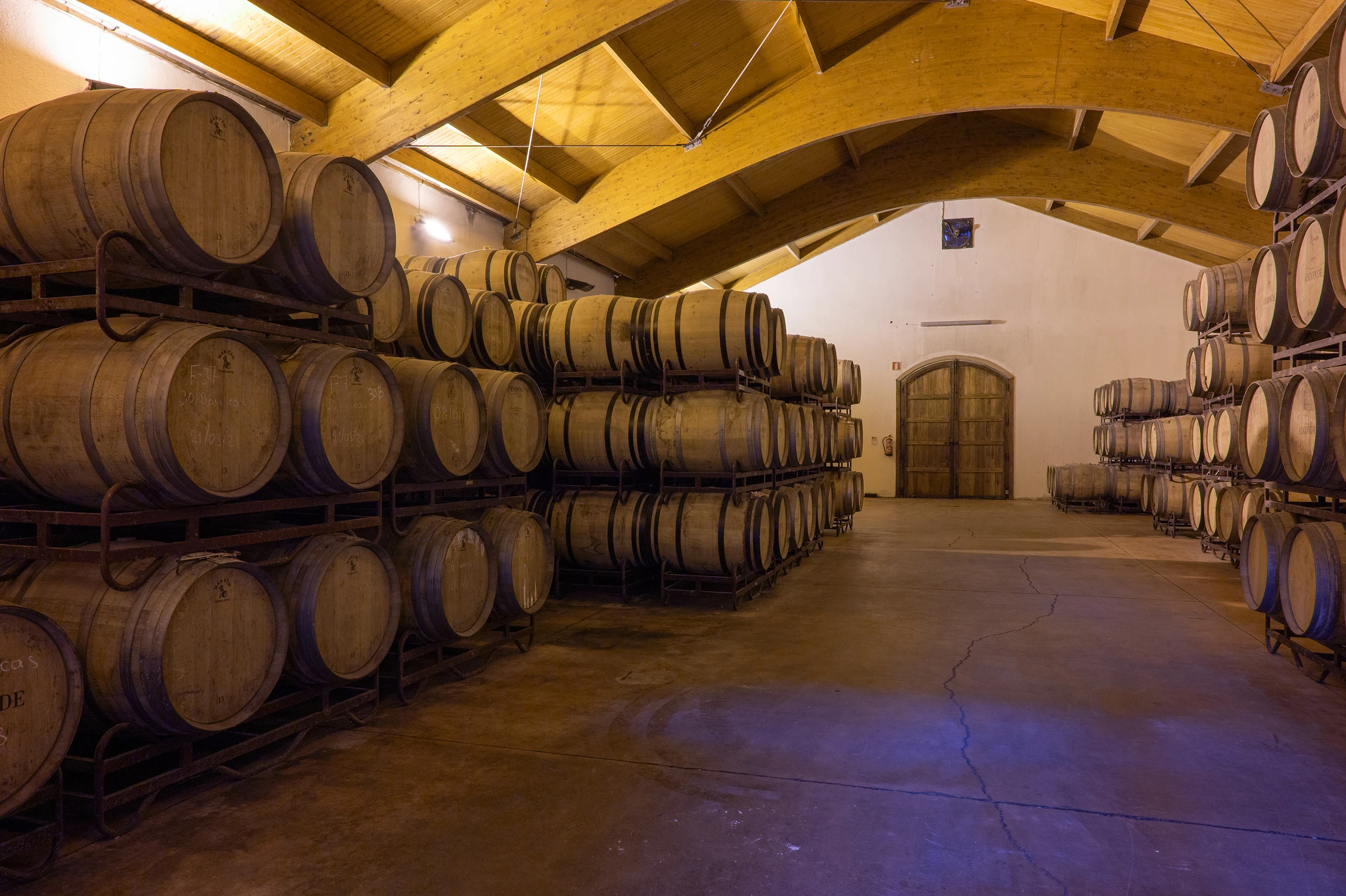 Vi&ntilde;edos hist&oacute;ricos y viticultura regenerativa