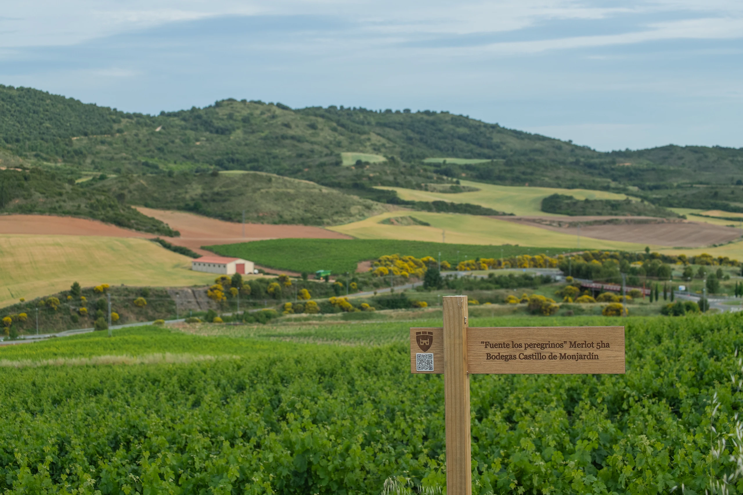 Foto 6 - Bodegas Castillo de Monjard&iacute;n