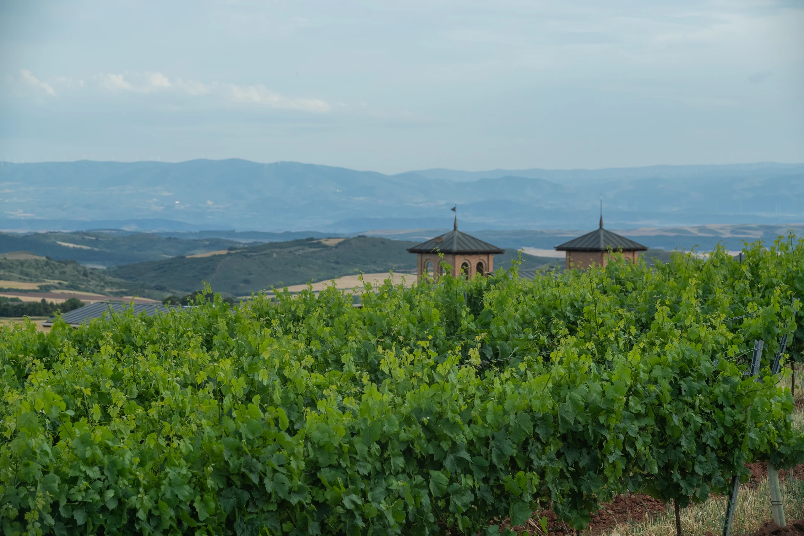Foto 7 - Bodegas Castillo de Monjard&iacute;n