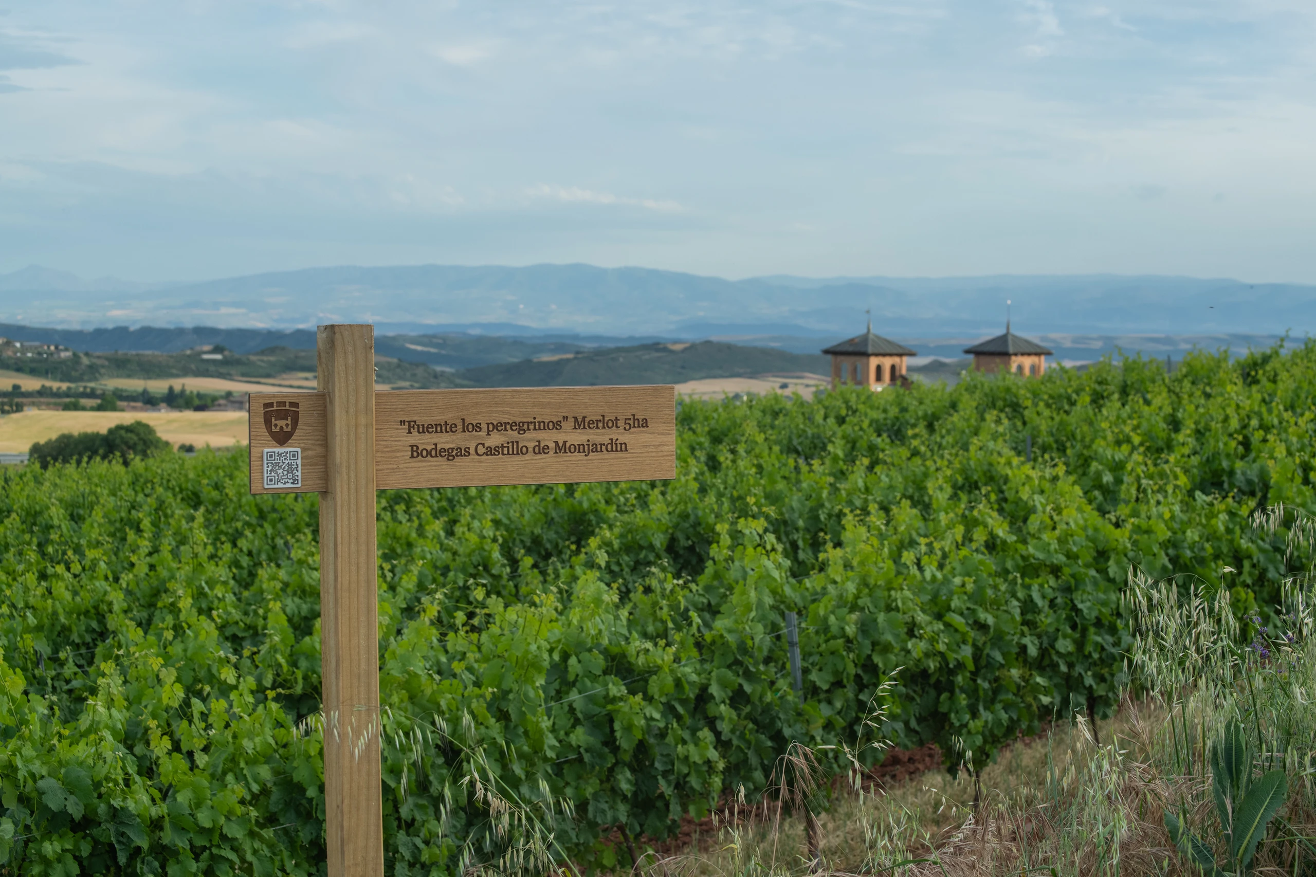 Foto 4 - Bodegas Castillo de Monjard&iacute;n