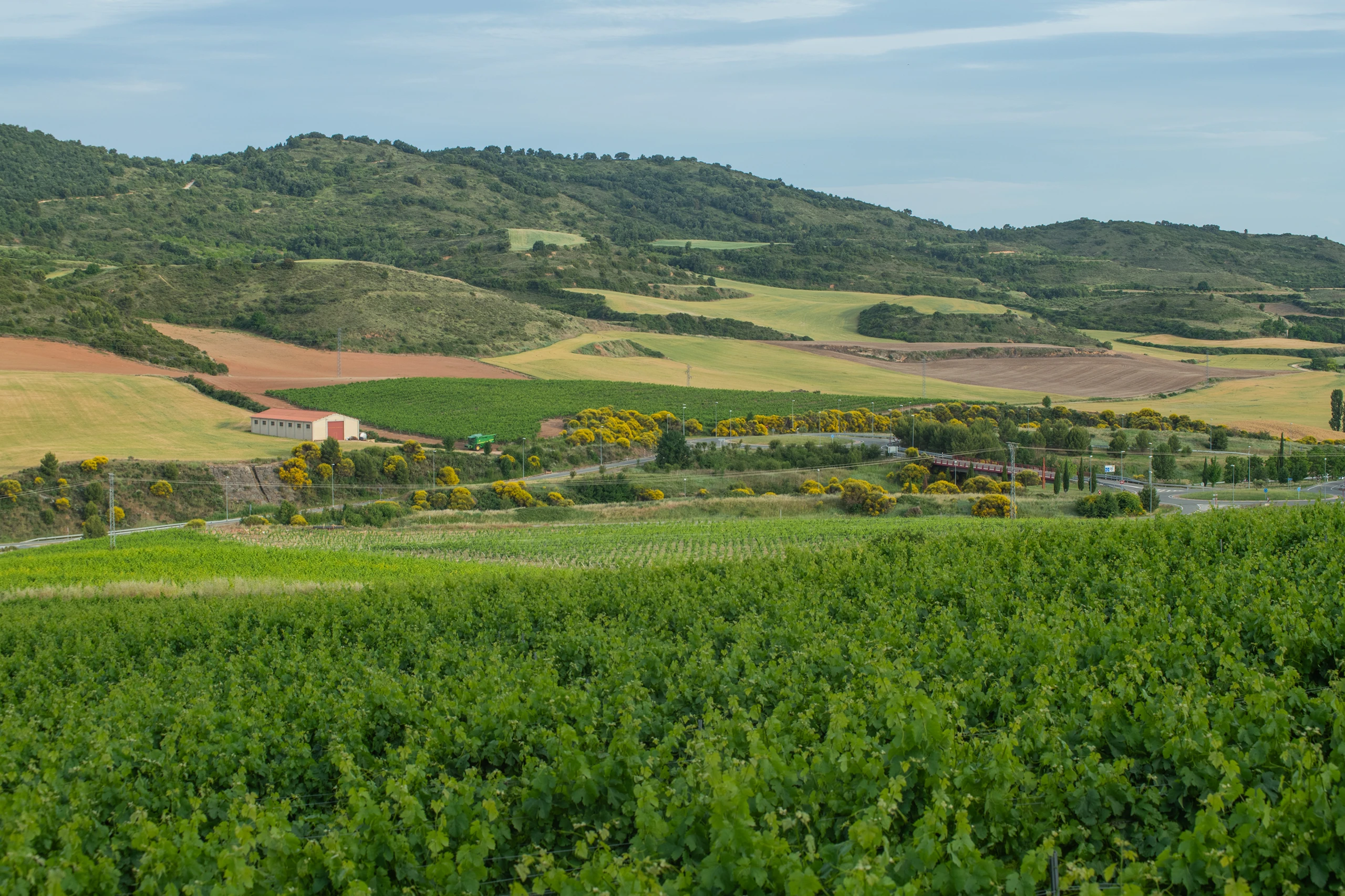 Foto 5 - Bodegas Castillo de Monjard&iacute;n