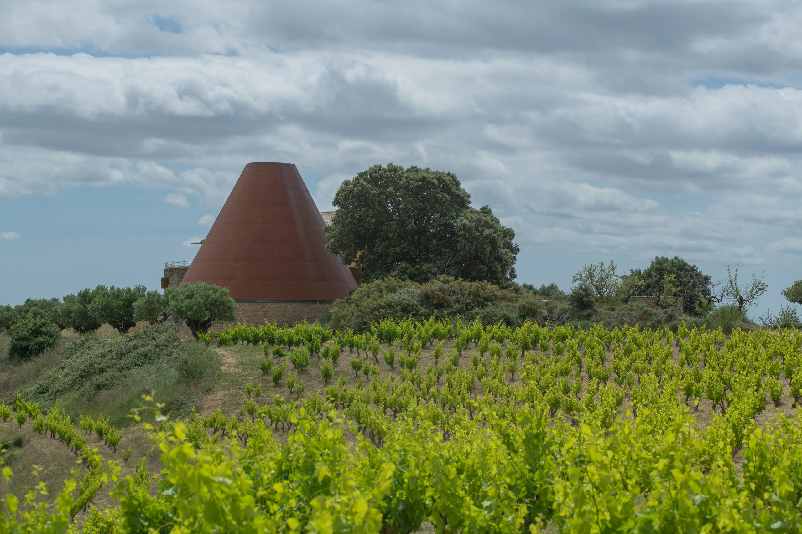 Recuperaci&oacute;n del patrimonio varietal navarro y la expresi&oacute;n de el terroir