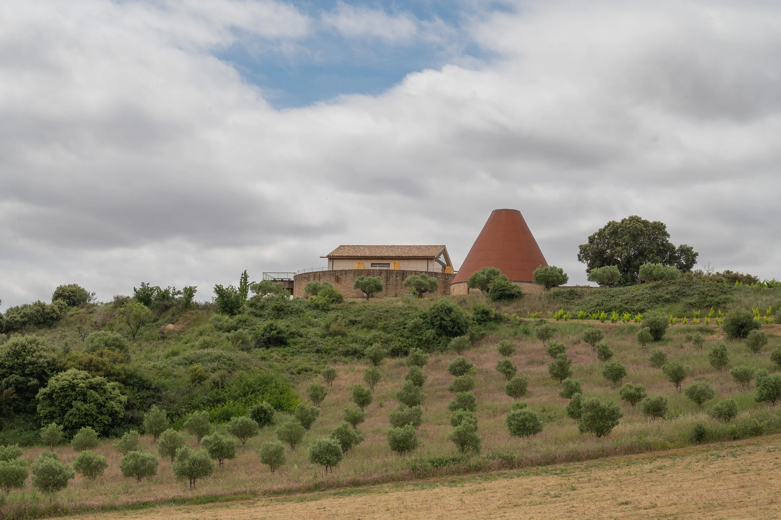 Foto 2 - Bodegas Emilio Valerio