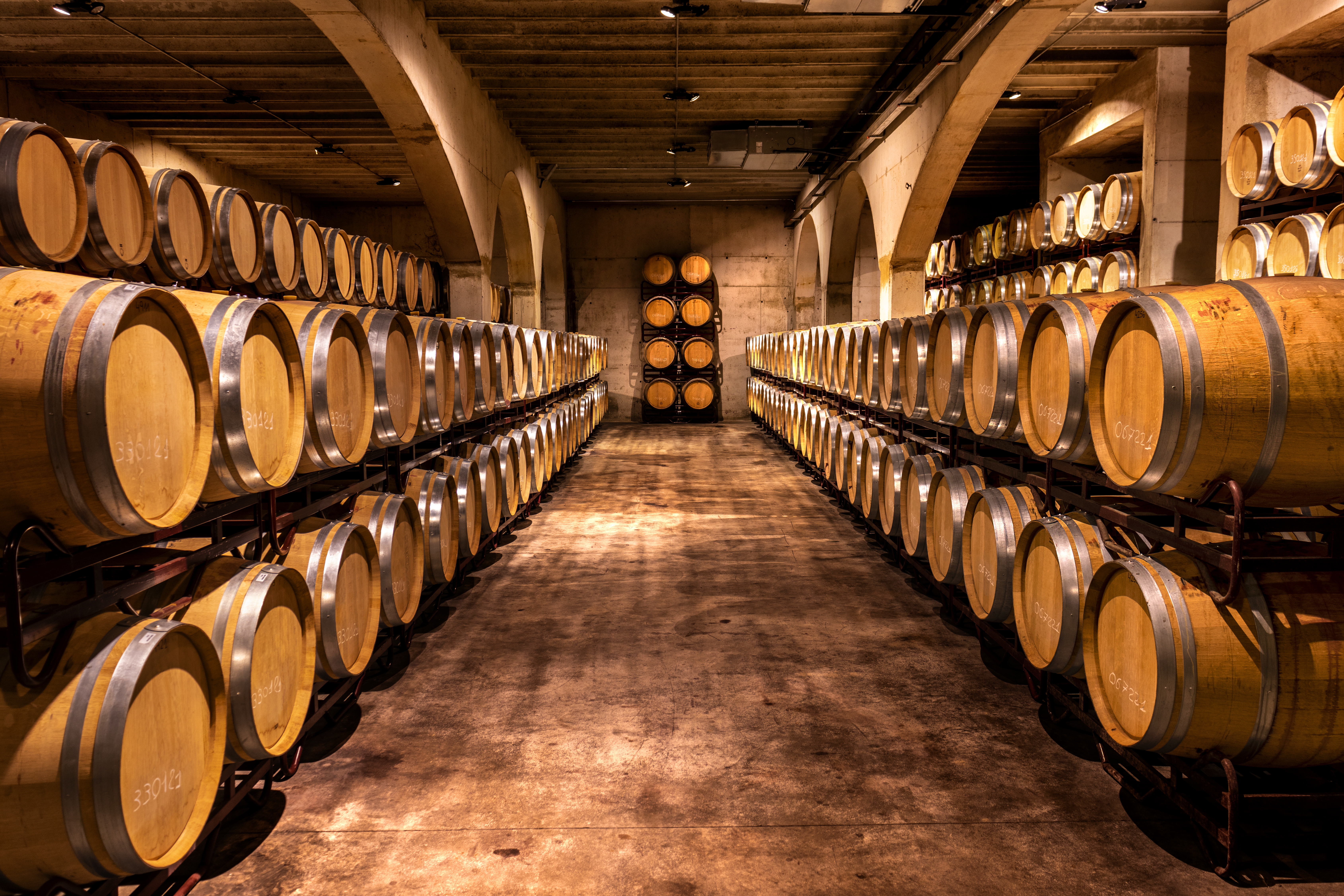 Pioneros en vinos ecol&oacute;gicos en Navarra