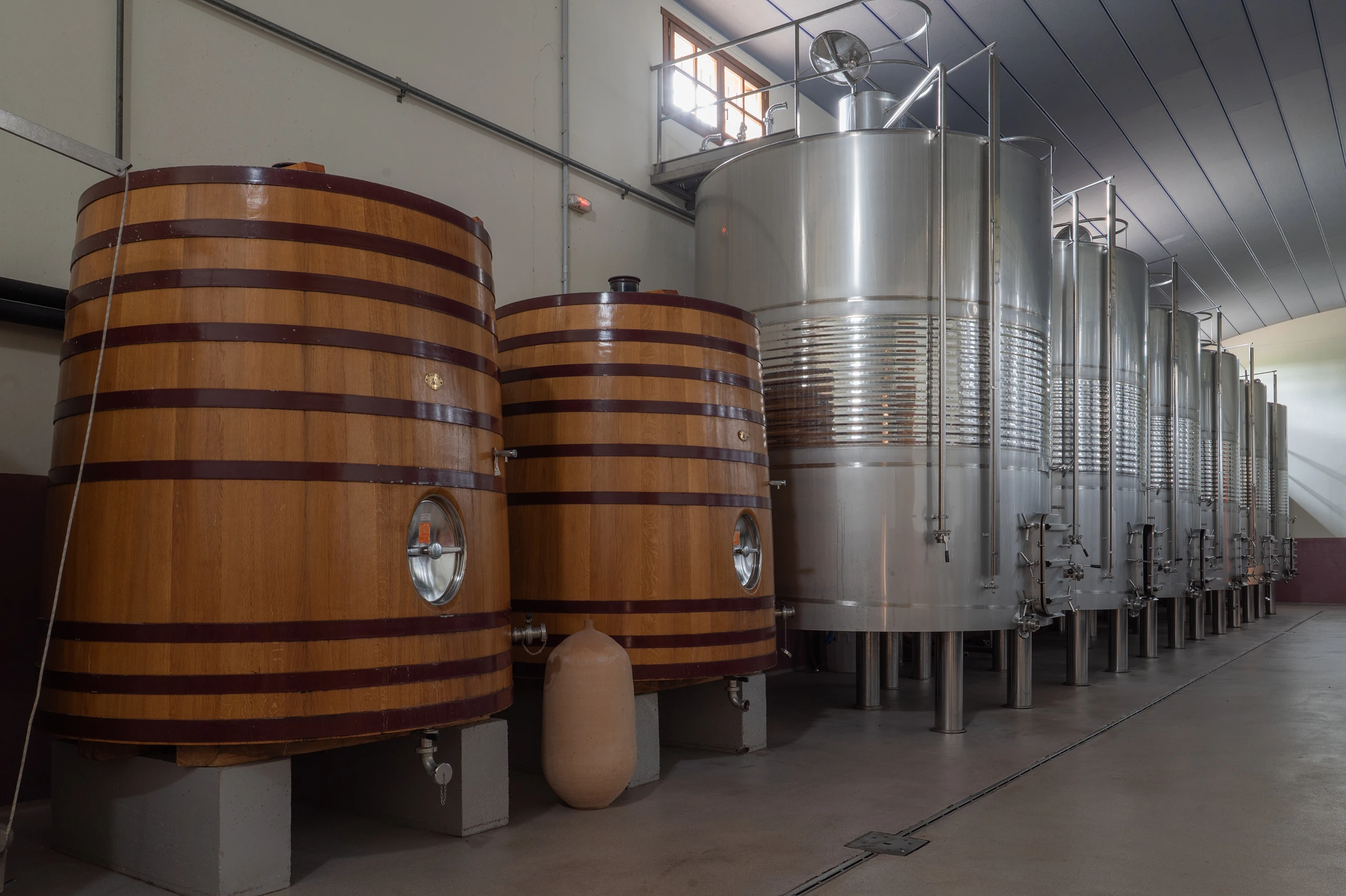 Foto 10 - Bodegas y Vi&ntilde;edos Alzania