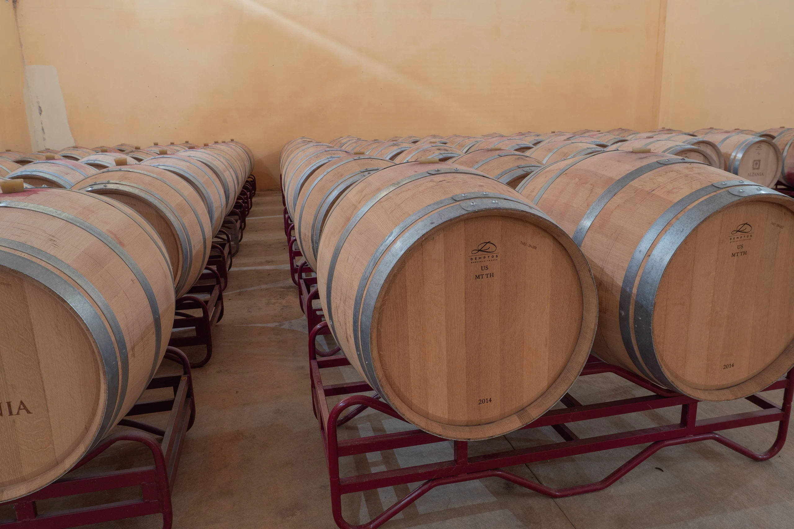 Vi&ntilde;edos propios en el coraz&oacute;n de Tierra Estella