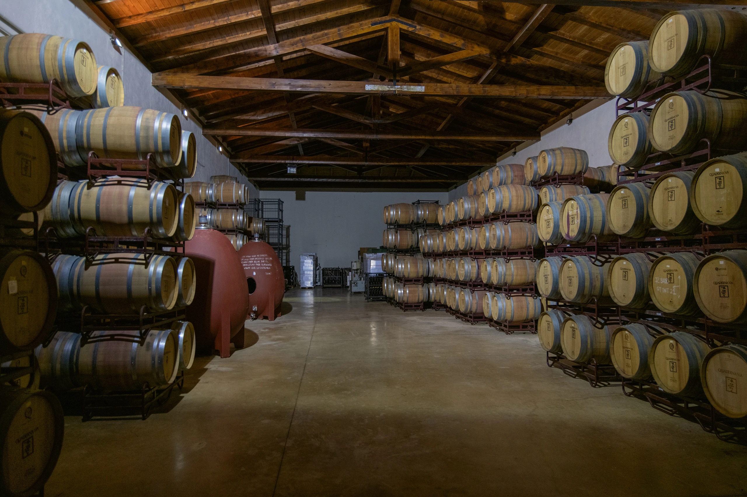 Foto 6 - Bodegas y Vi&ntilde;edos Quaderna V&iacute;a