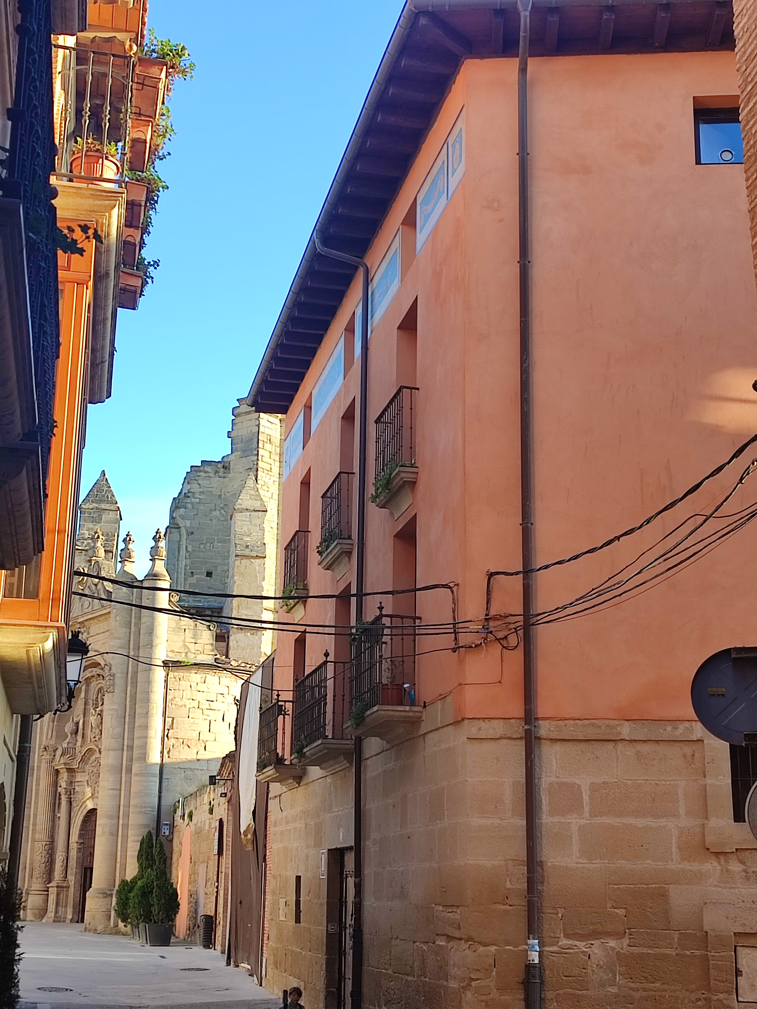 Casa Palaciega Do&ntilde;a Leocadia - foto 4