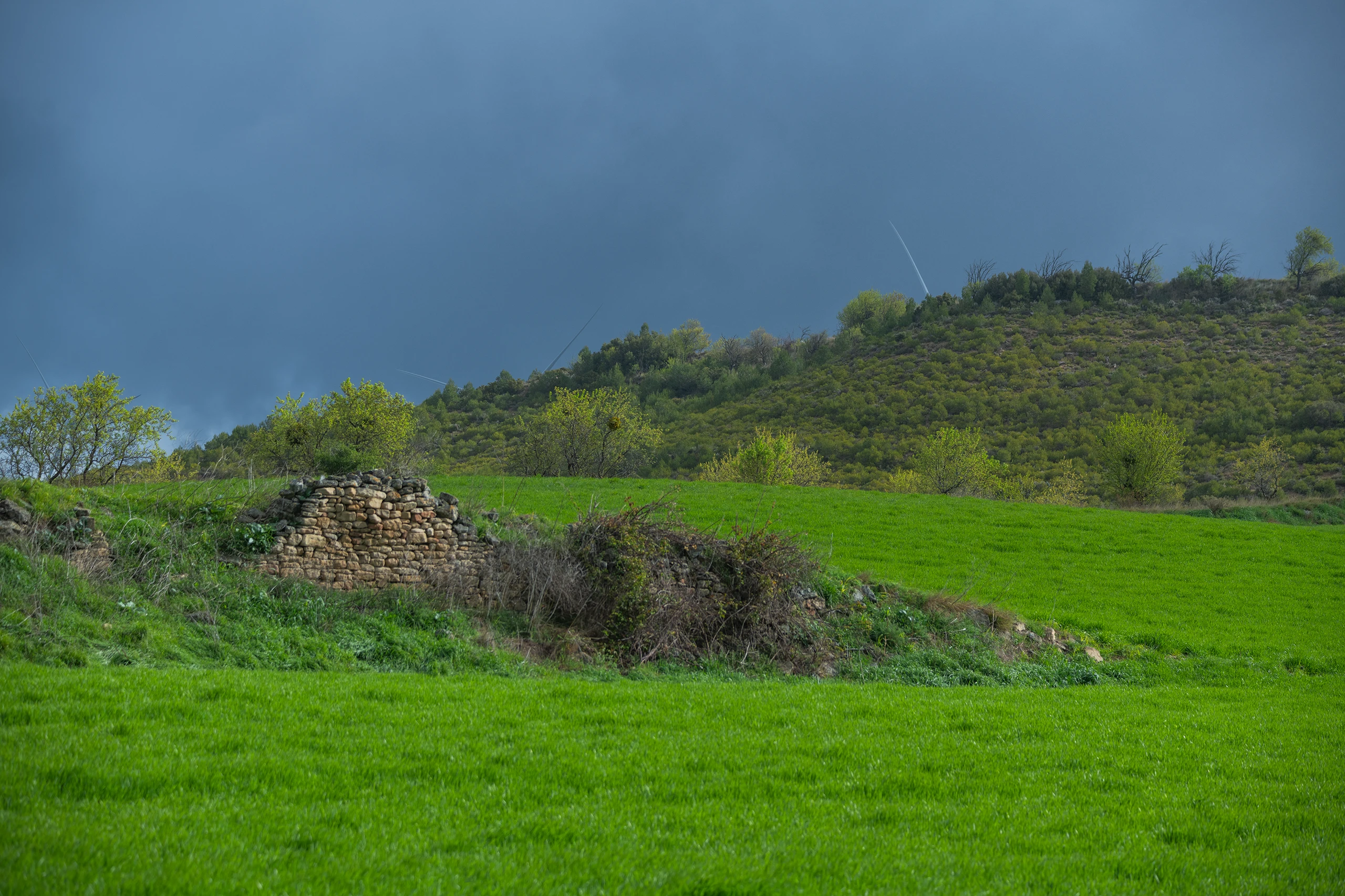 Foto 4 - Convento de San Juan del Ramo