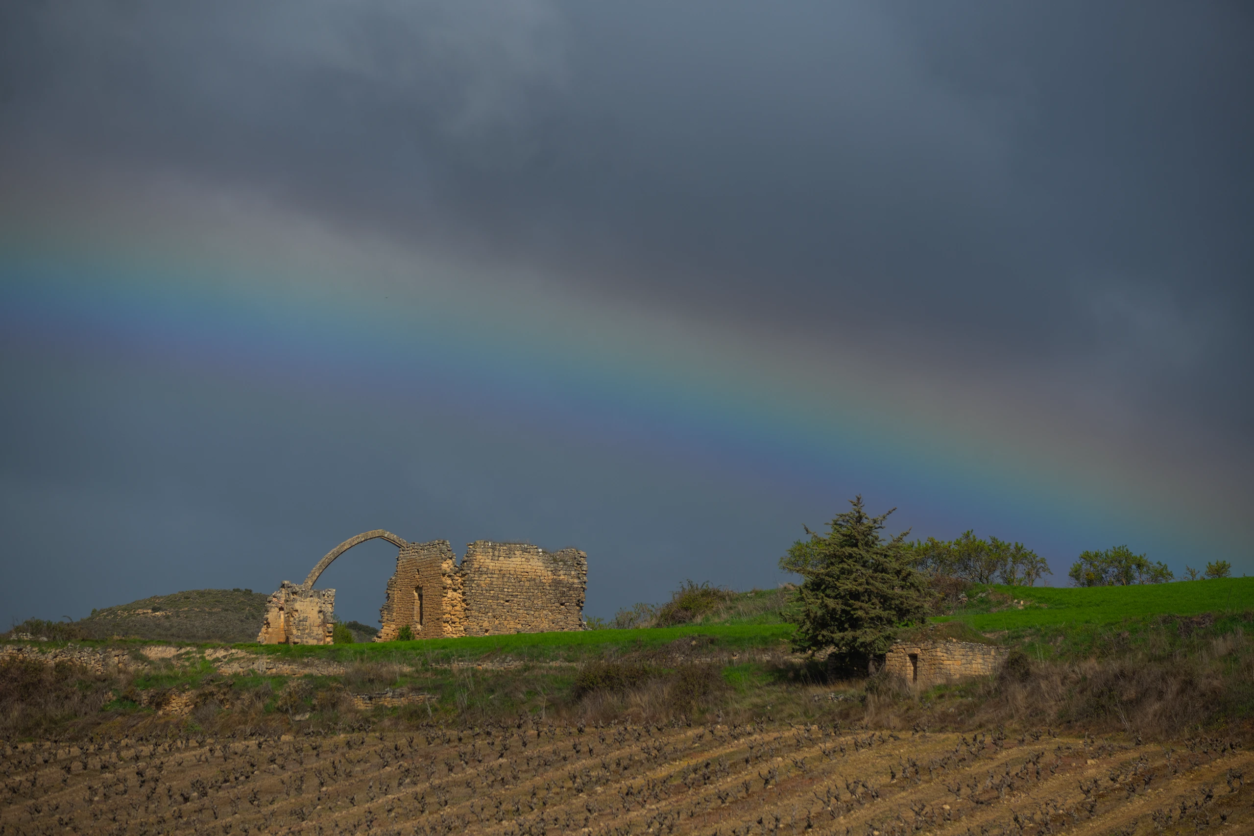 Foto 5 - Convento de San Juan del Ramo