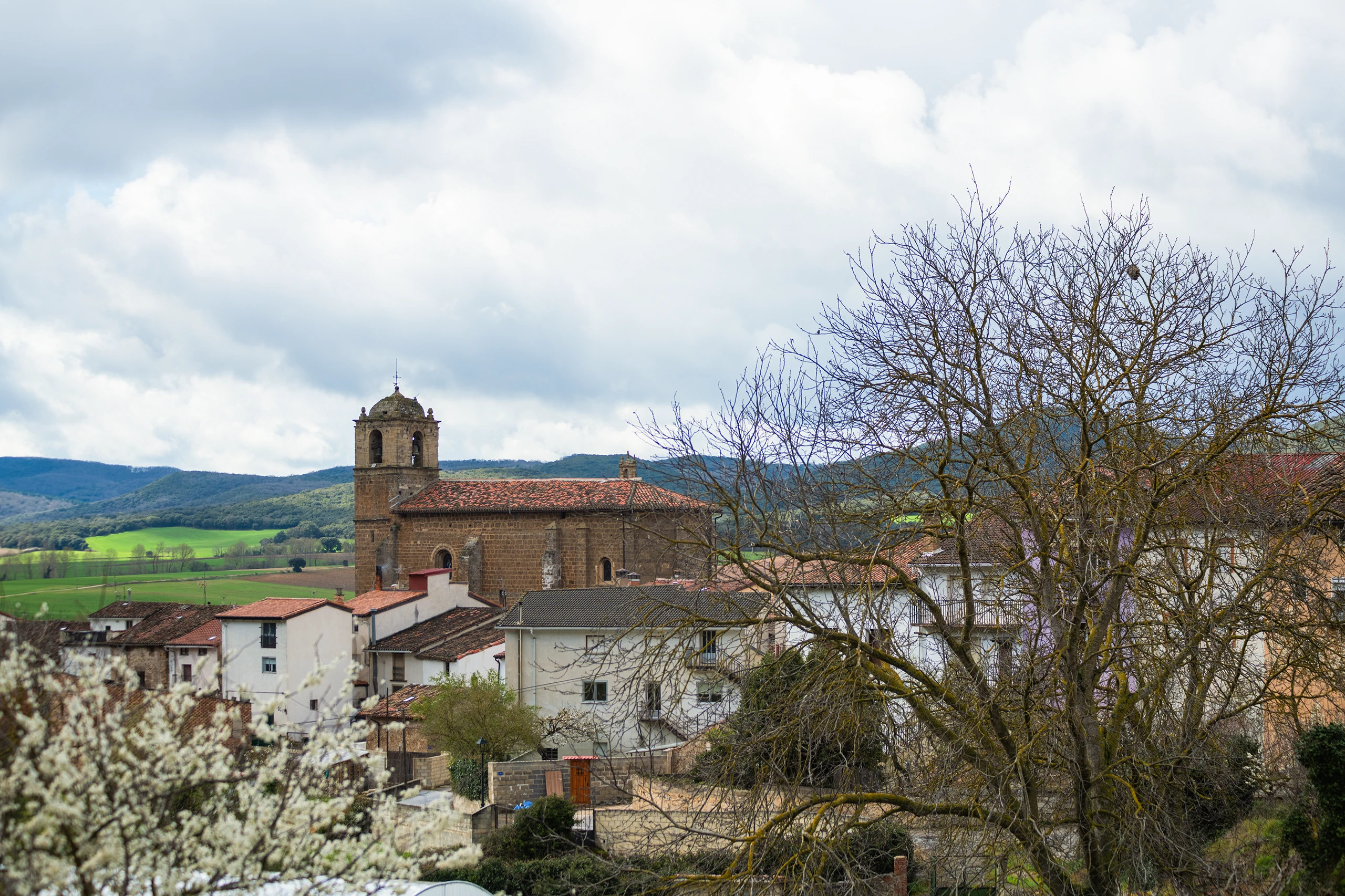 Foto 4 - Iglesia de San Esteban