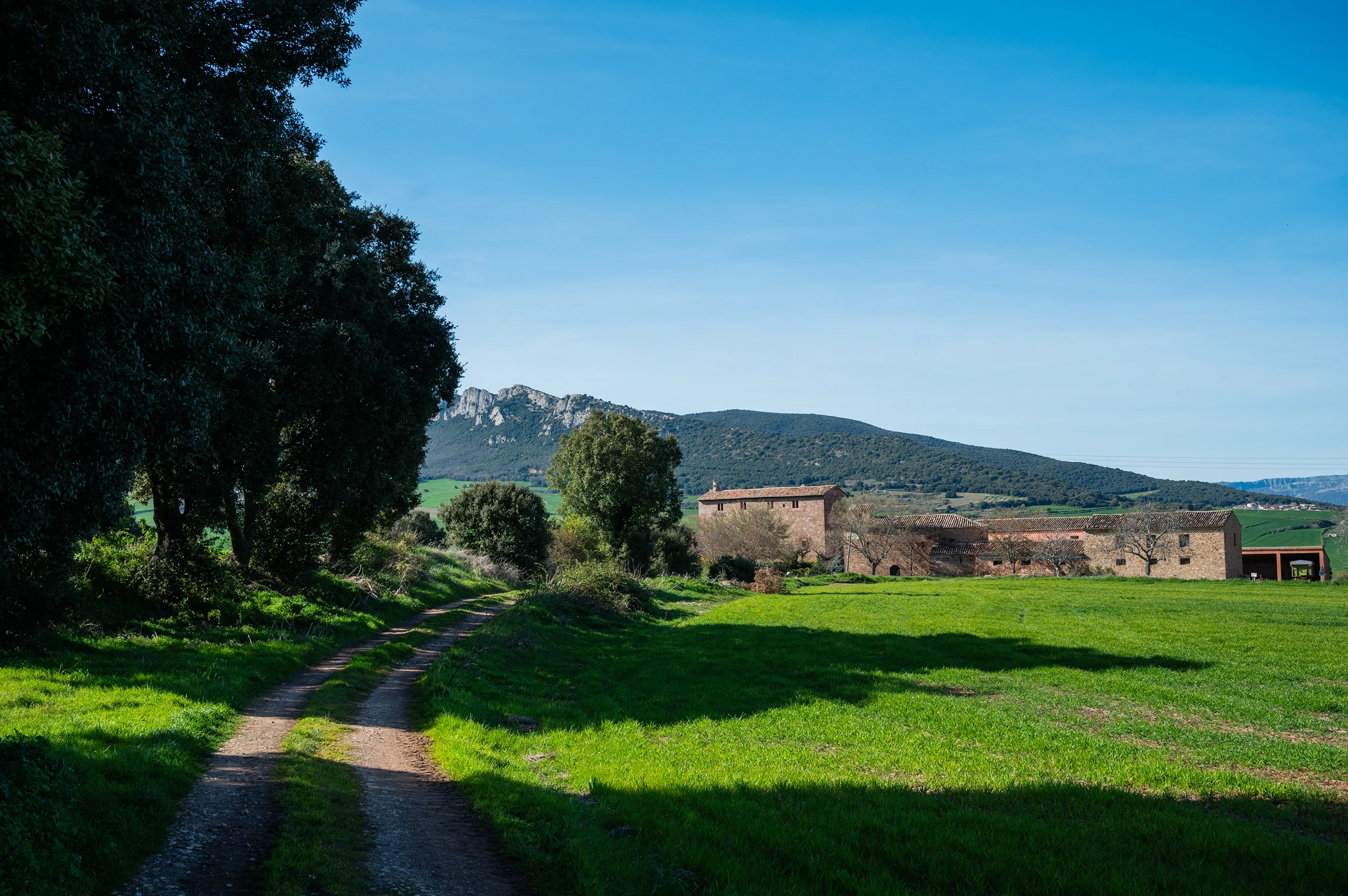 Monumento Natural N&ordm; 3 Encino de C&aacute;brega