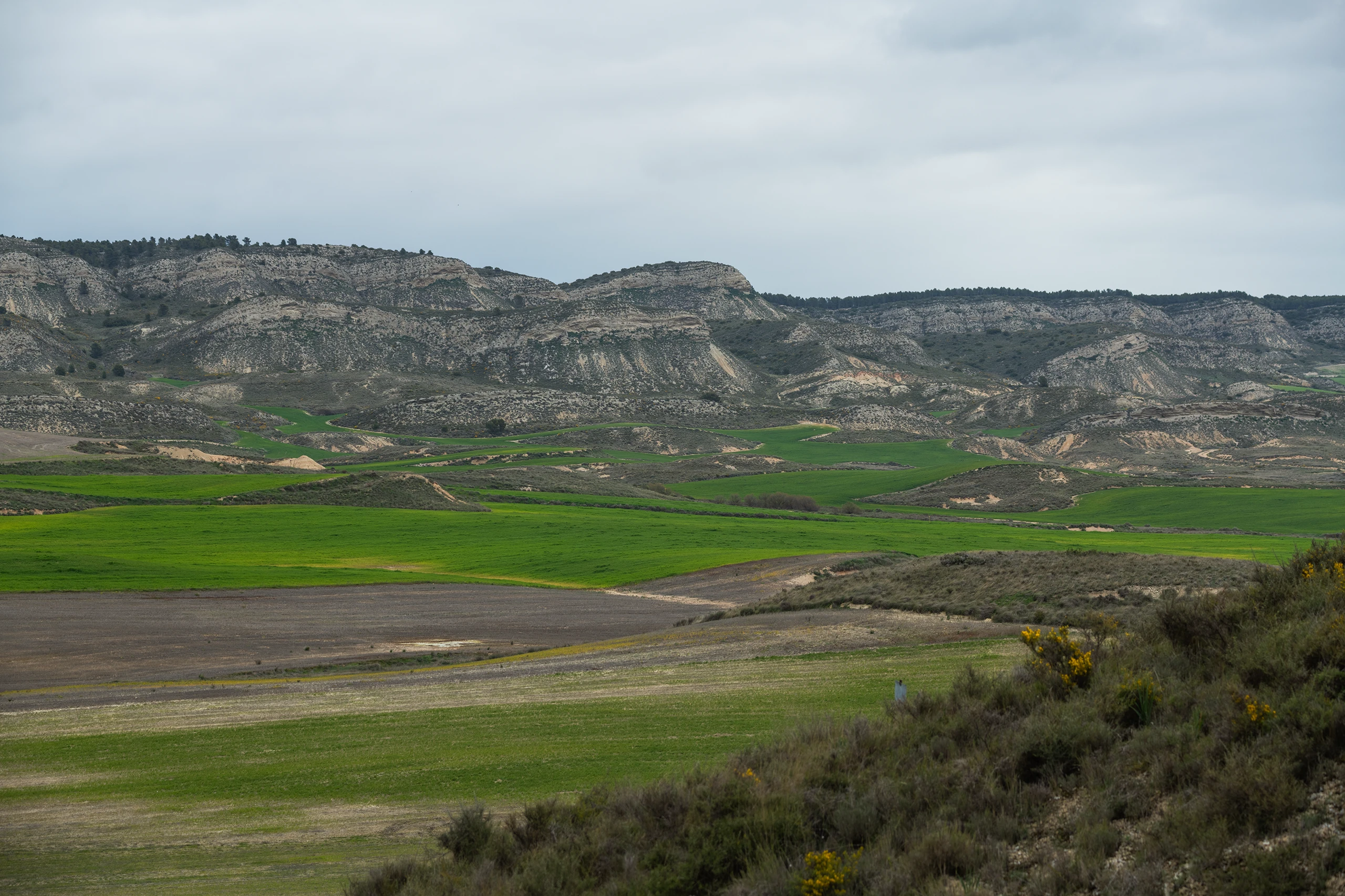 Un lugar &uacute;nico en Navarra