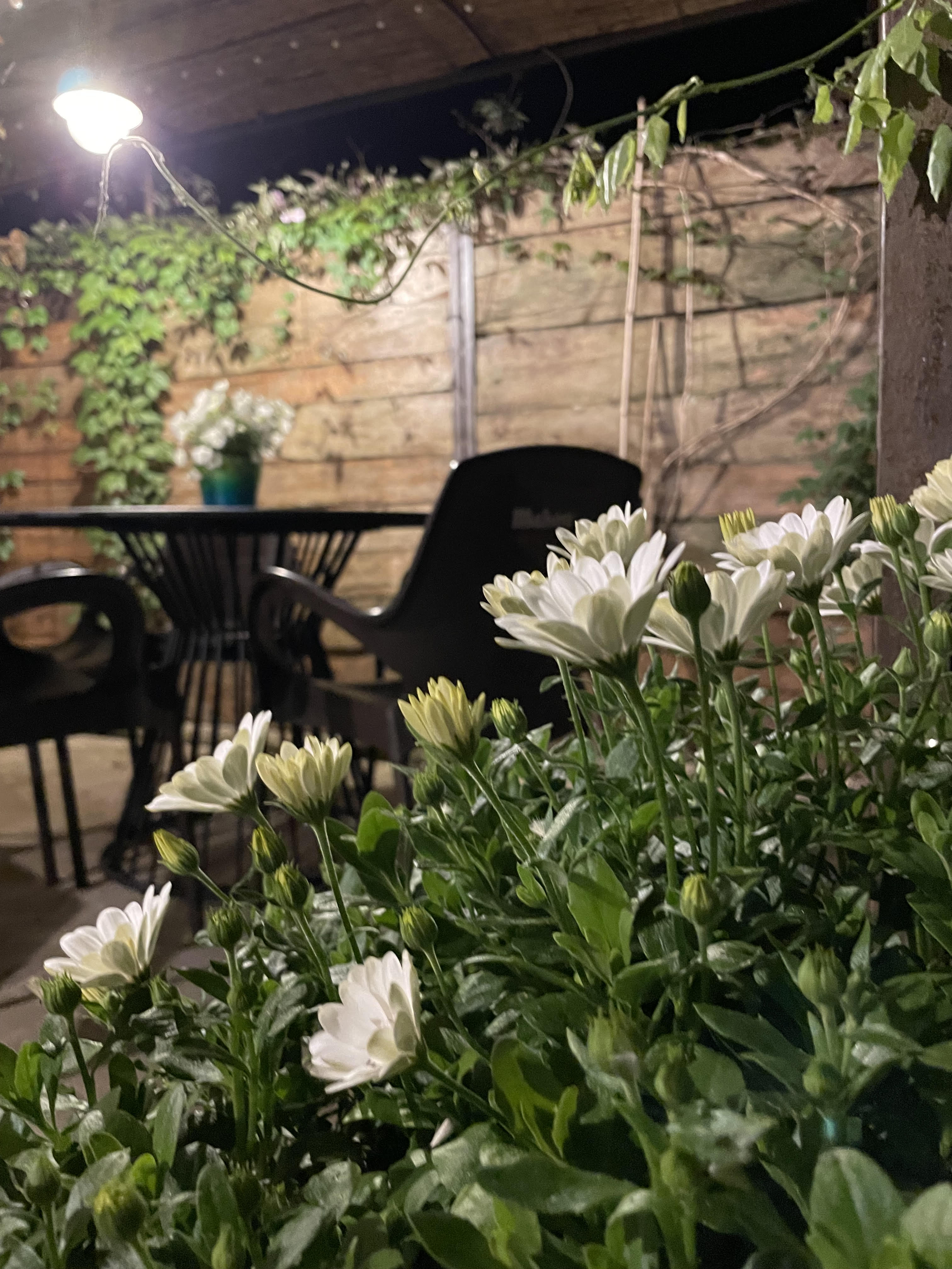 Pizzeria El Molino - foto 5