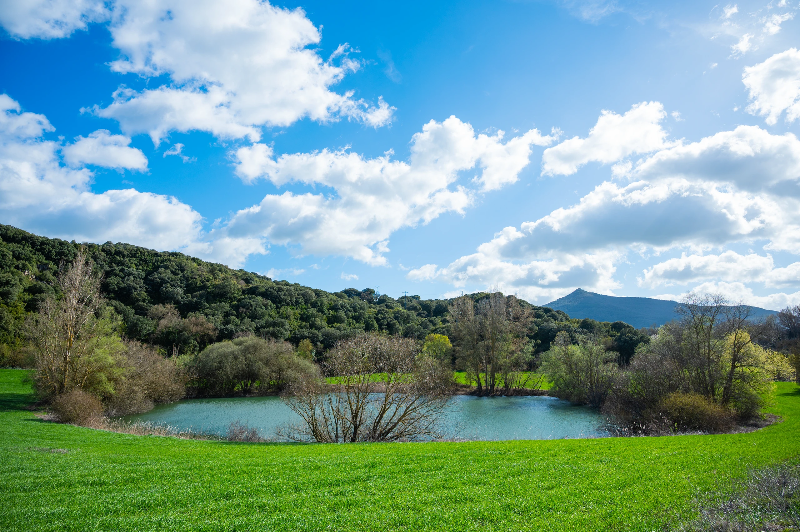 Foto 1 - Pozo de Arbeiza