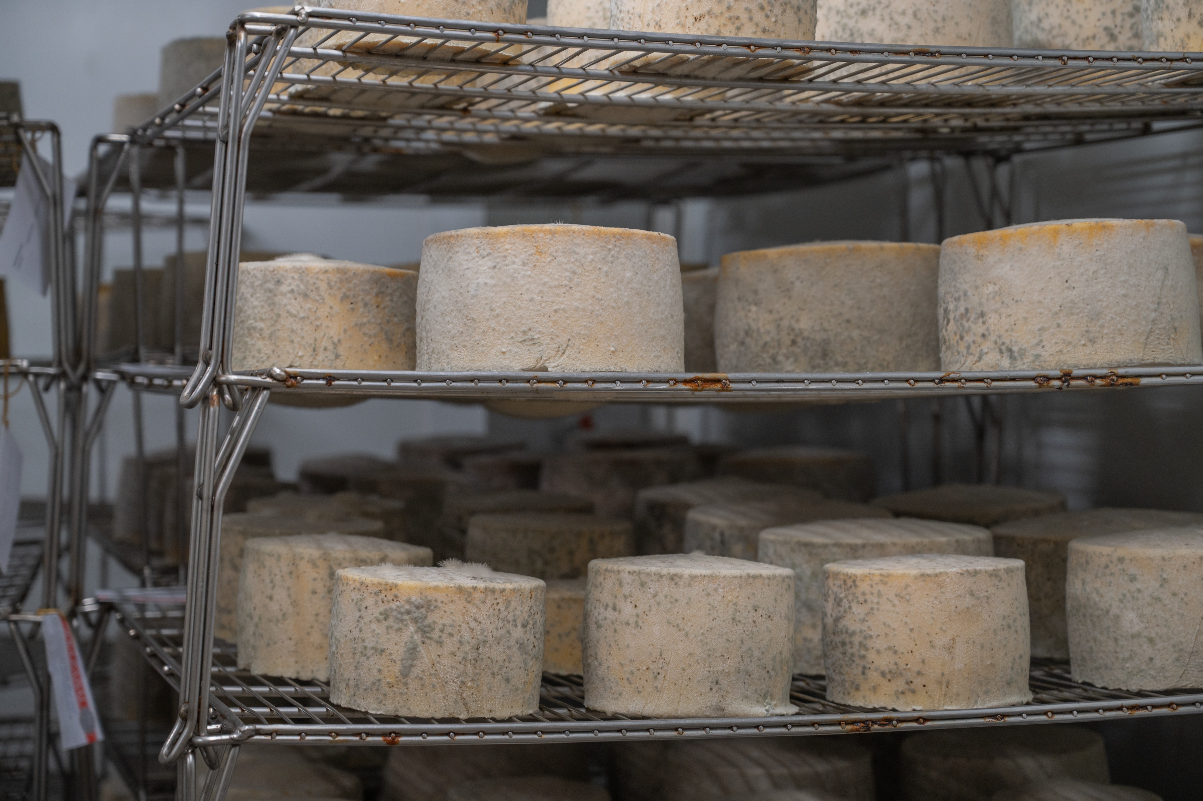 Del reba&ntilde;o al queso, sin intermediarios