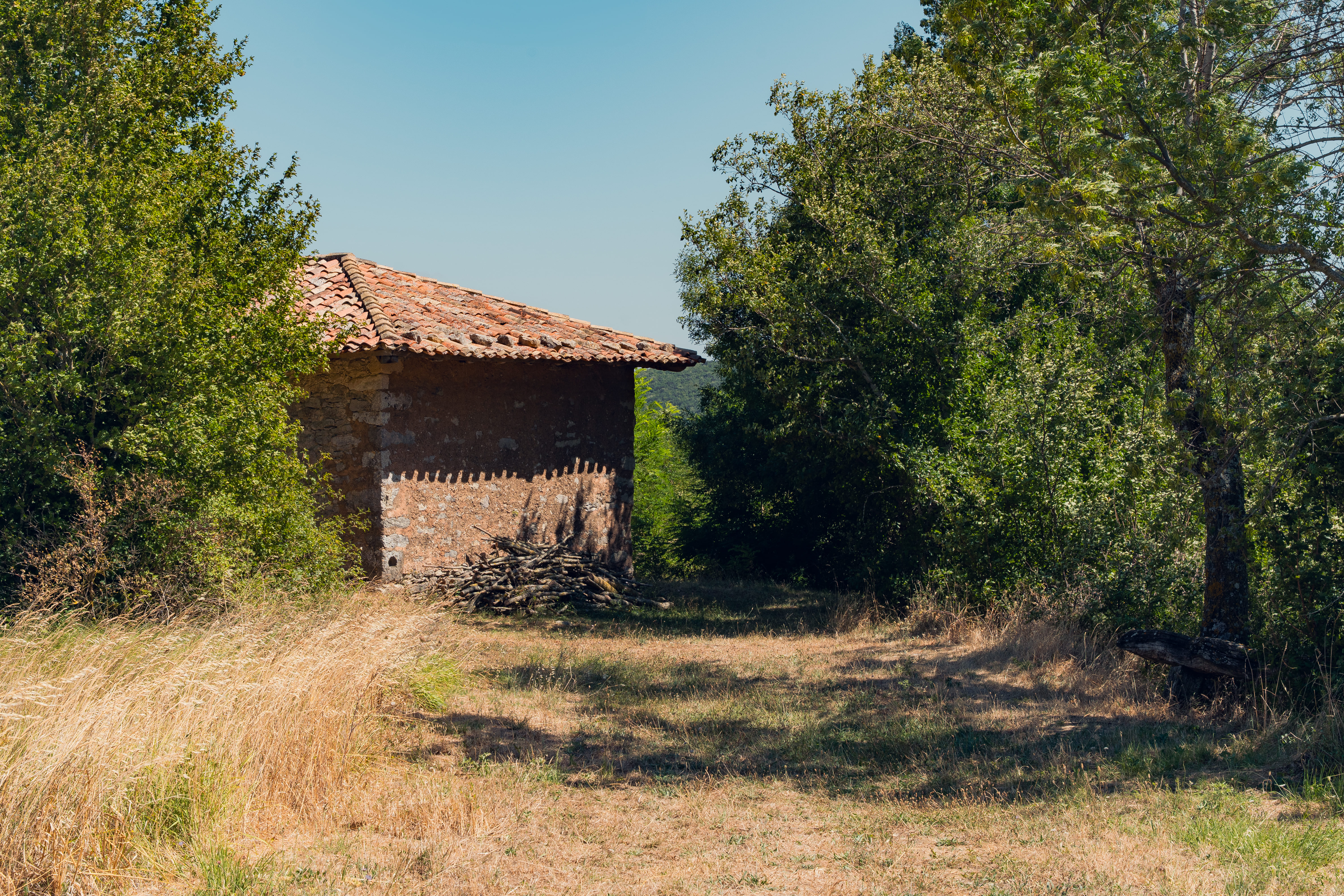 Foto de la ruta