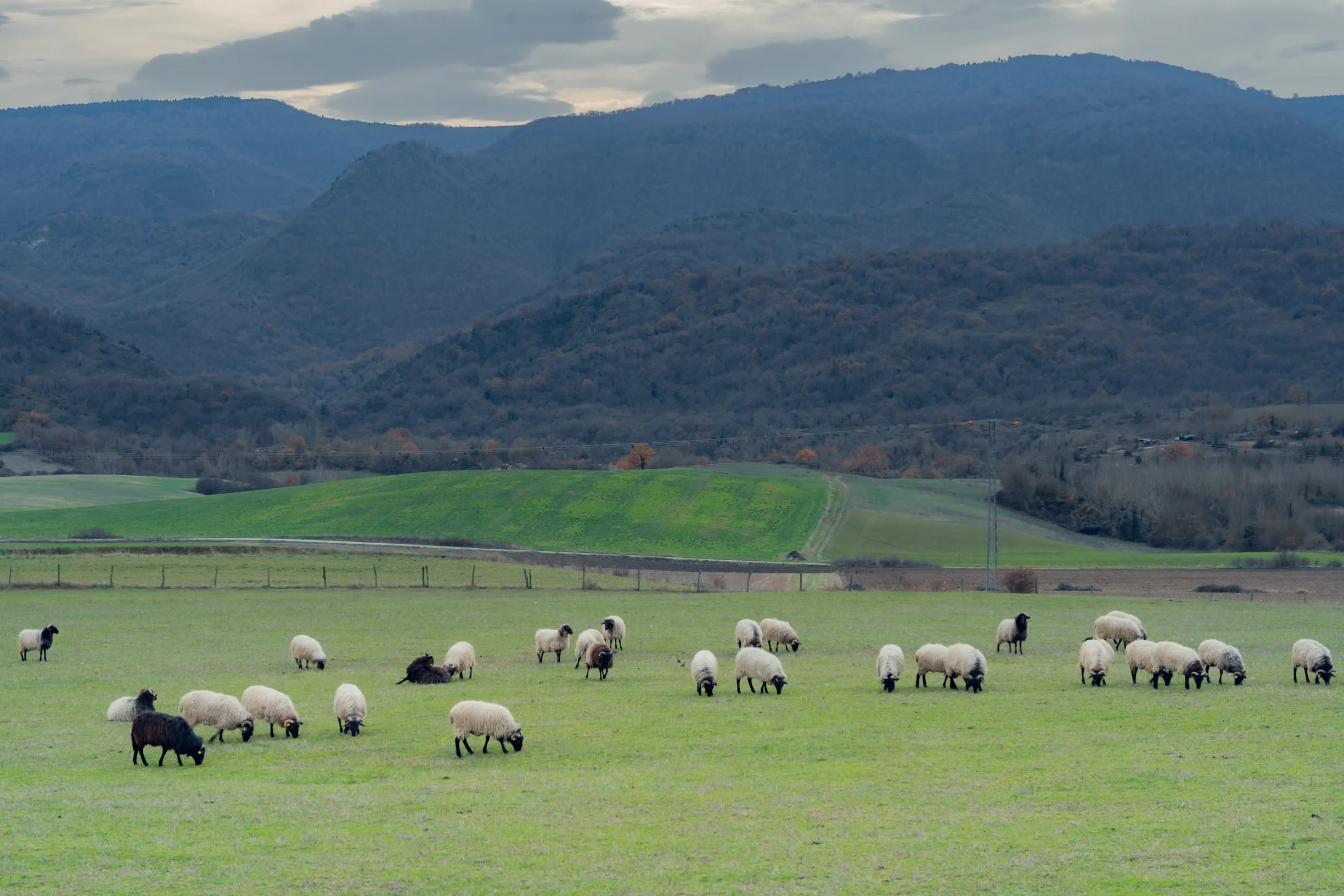 Ruta 5. Valle de Am&eacute;scoa