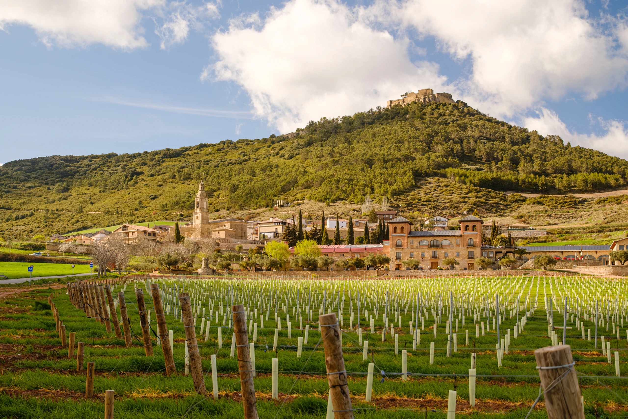 Villamayor de Monjard&iacute;n