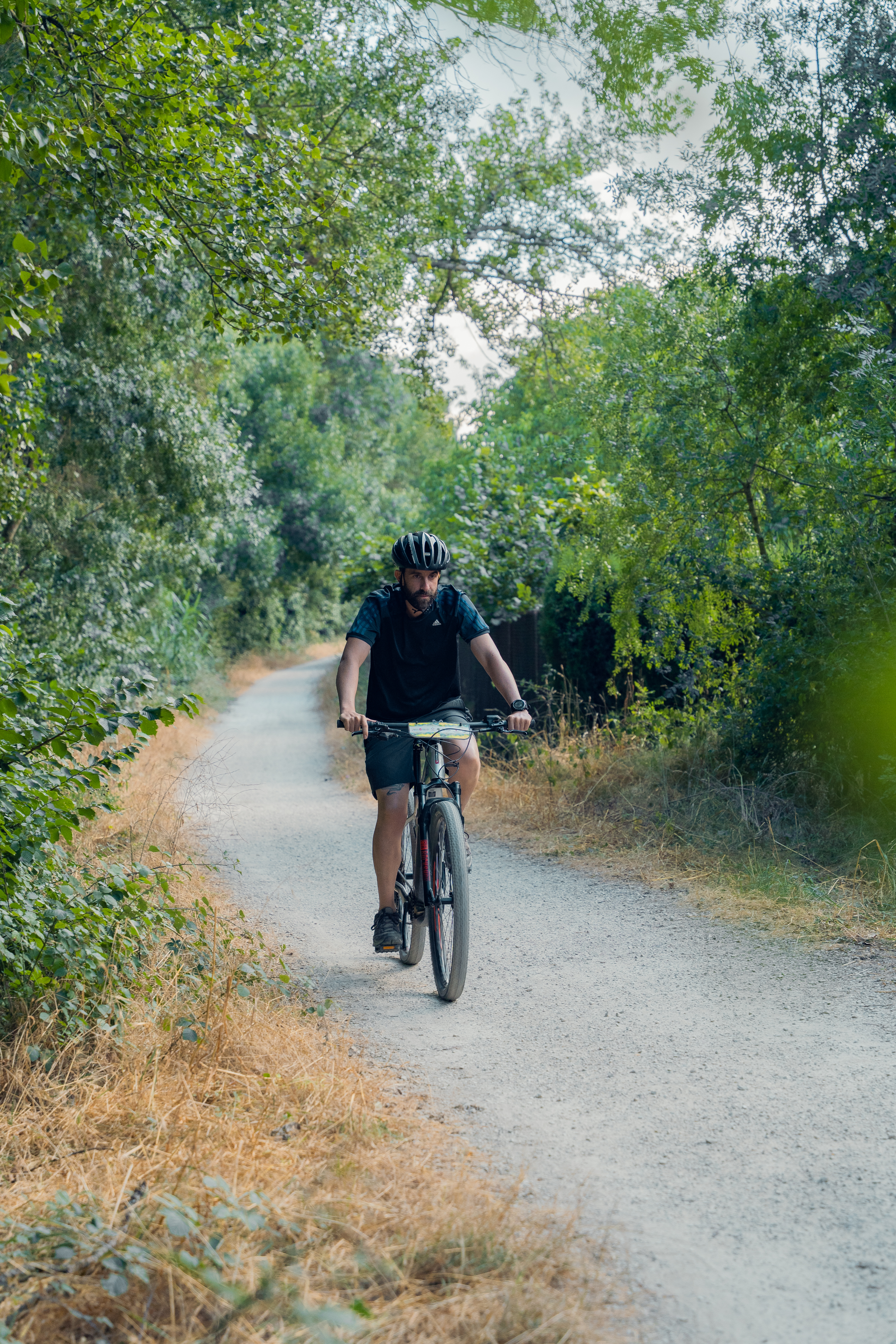 V&iacute;a Verde FFCC