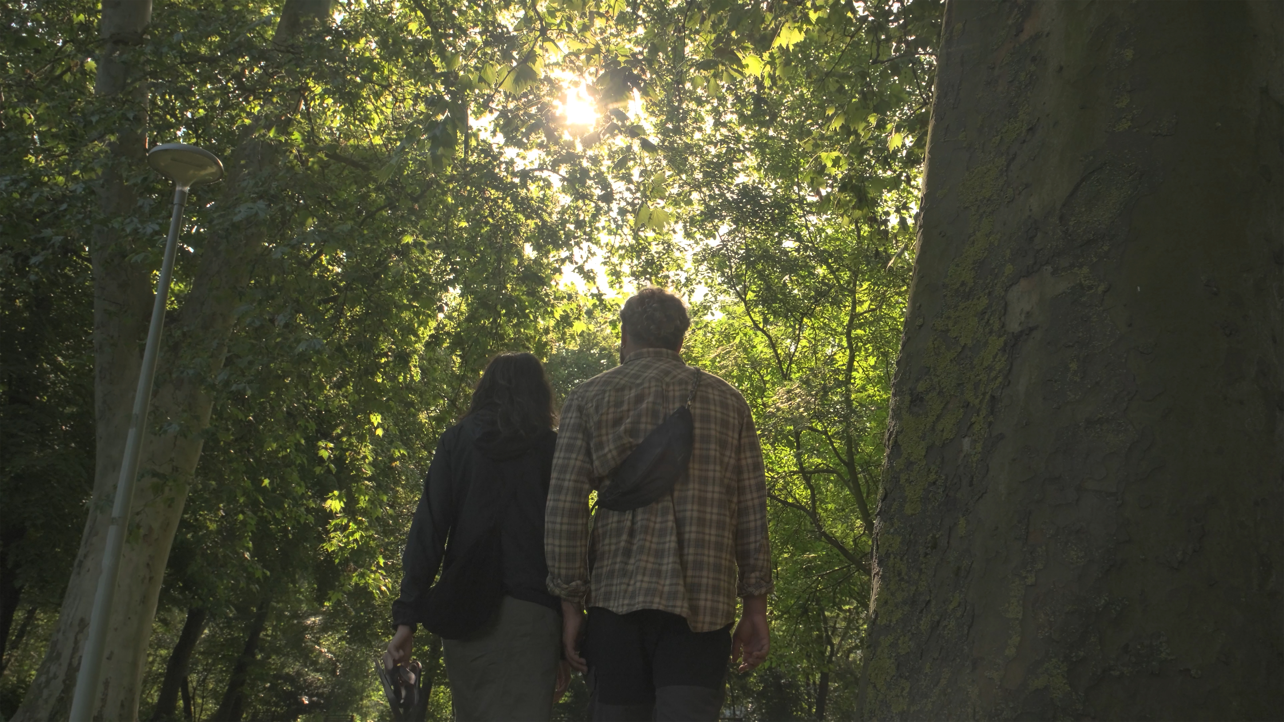 Vacaciones rom&aacute;nticas por Tierra Estella