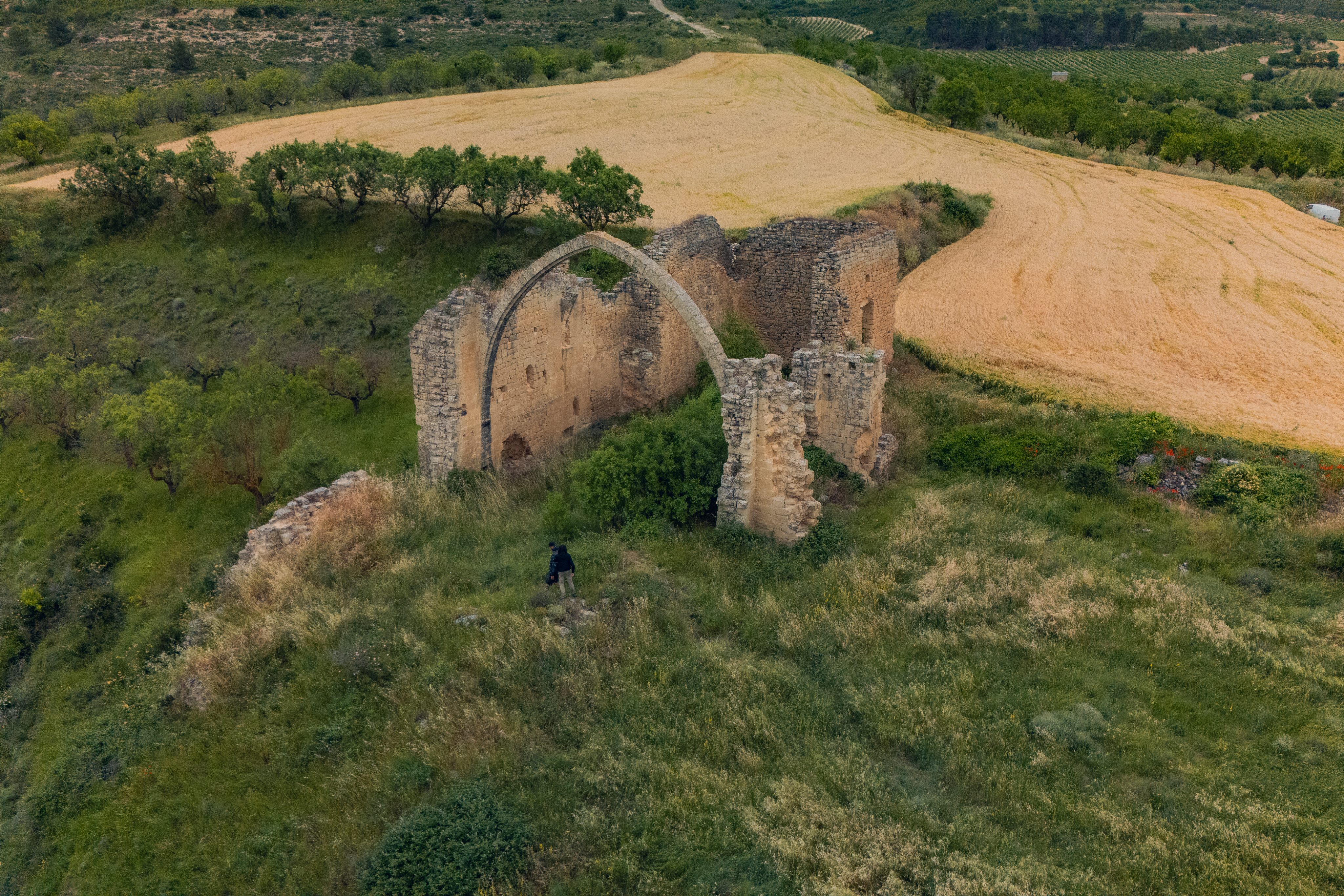 Un viaje por la &eacute;poca medieval