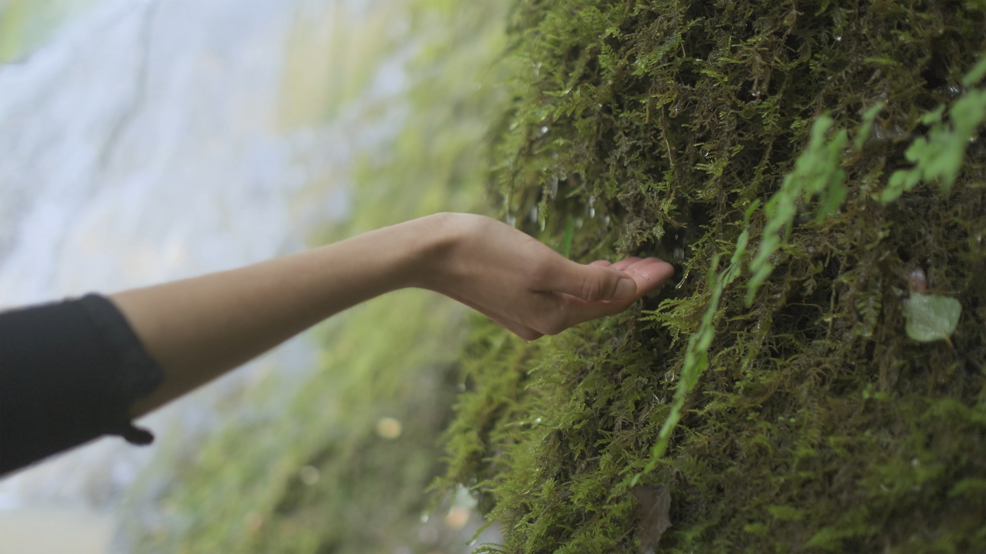 Conectando con la naturaleza