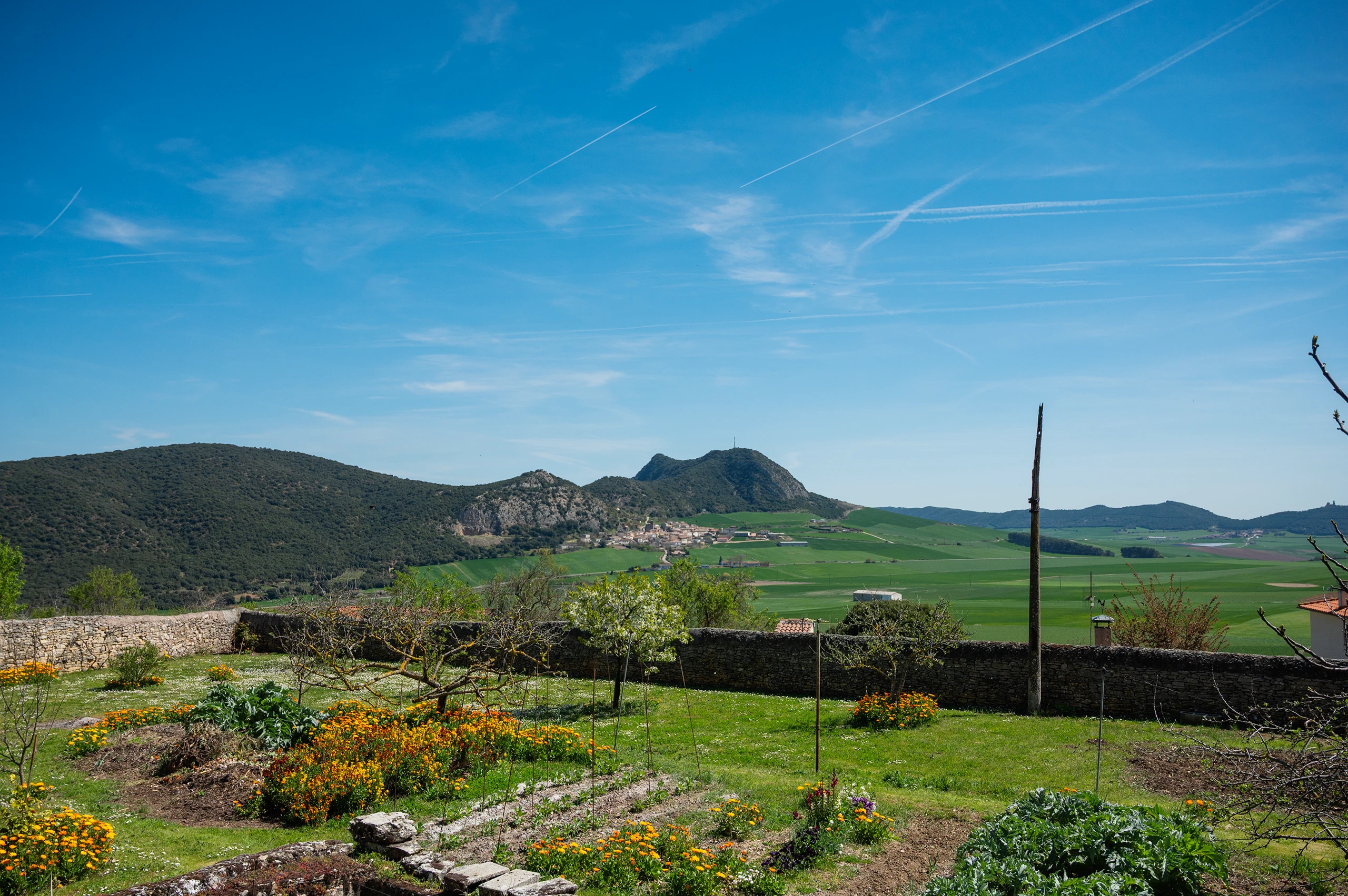 La Berrueza